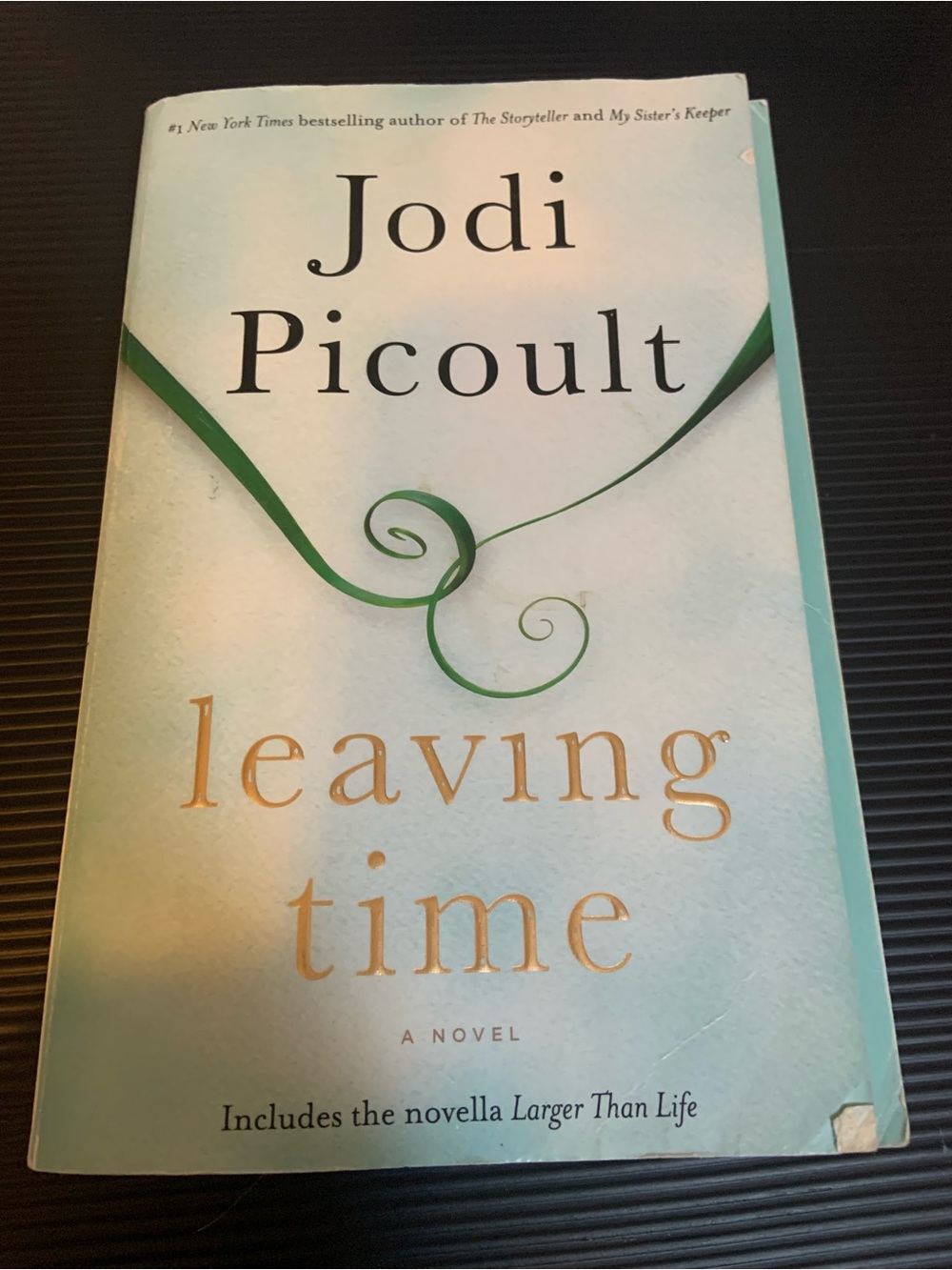 Leaving Time Novel - Blue Cover